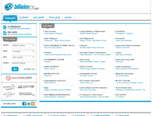 Tablet Screenshot of bilisimcv.com